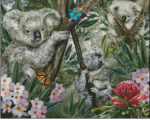 (image for) Koalas